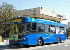 Mini Blue